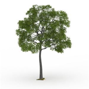 কৃত্রিম Pagoda গাছ