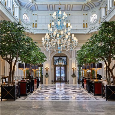 হলের জন্য কৃত্রিম কালো জলপাই গাছ